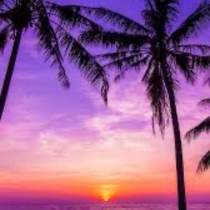 Meet your Posher, Mason